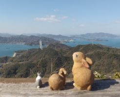 うさぎ　旅行